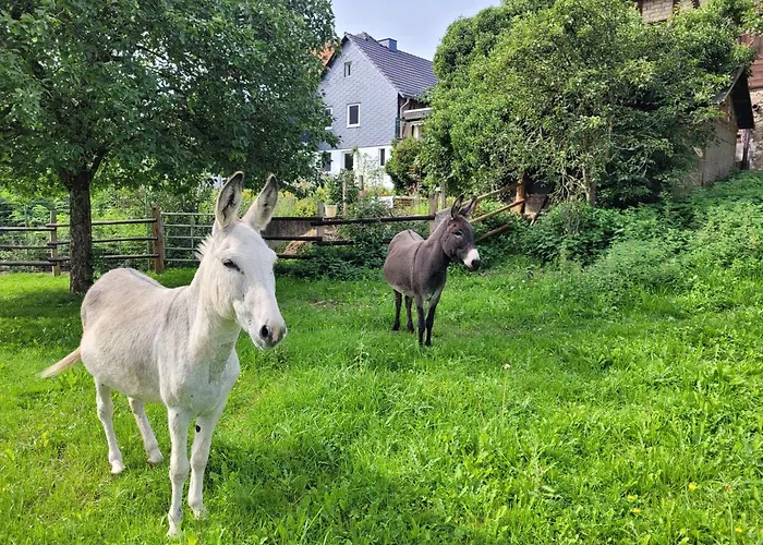 Historisches Ferienhaus \